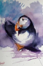 Purple Puffin Portrait
