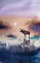 Twilight Moose Reflection