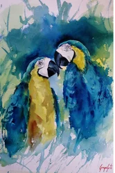 Vibrant Macaw Companions