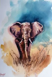 Wild African Elephant