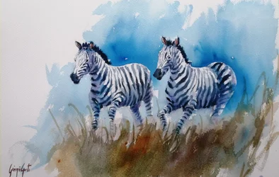 Zebras 4