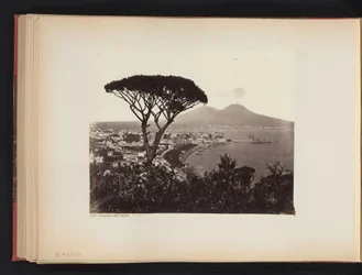 View of Naples, Italy, with a Pine Tree in the Foreground