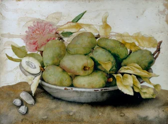 Plate of loquats, almonds and a rose