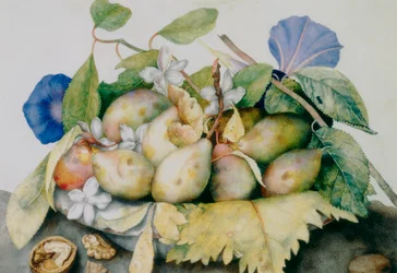 Plate of plums, jasmine and walnuts