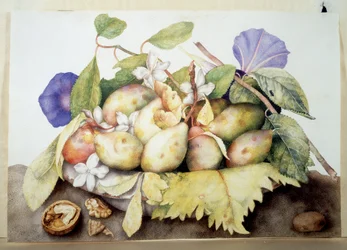Unknown Image