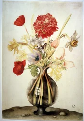 Unknown Image