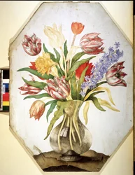 Unknown Image