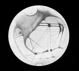 The Double Canals of Mars, after Giovanni Virginio Schiaparelli, in 
