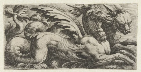 Two Sea Creatures Side by Side