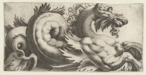 Seahorse with Leaf-shaped Fins and a Beard