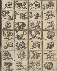 Example of Embroidery, page 10 verso, 1530