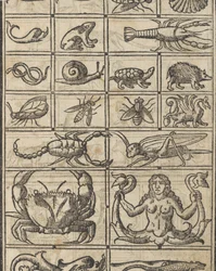 Essempio di recammi, page 11 recto