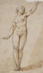 Standing nude woman raising her left arm