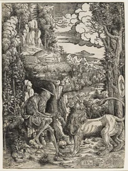 Saint Jerome and the Lion, c.1509