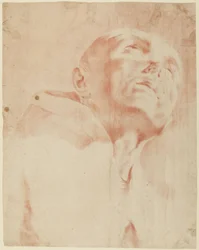 Head of a Monk Looking Up