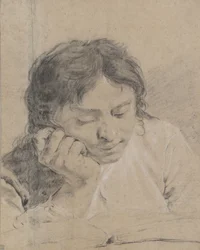 Young Boy Reading a Book