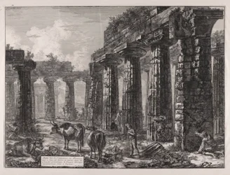 Another view
