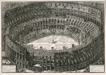 The Colosseum from a Bird