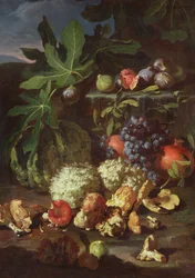 Still Life