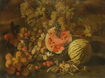Still Life