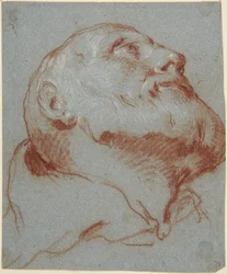 Head of a Bearded Man, Seen from Below and Looking Up