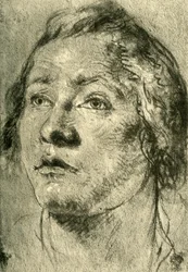 Head of a Young Man, mid 18th century