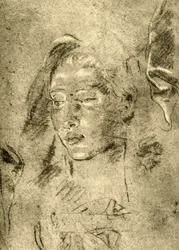 Head of a Young Woman
