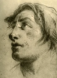 Head of a Youth, Almost in Profile and Looking Up