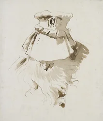 Head of a bearded Man