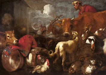 The Animals Board Noah