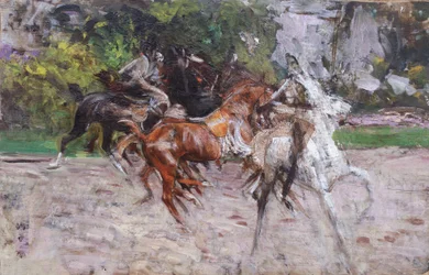 Horses at the Bois de Boulogne