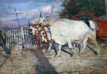 Ox Cart