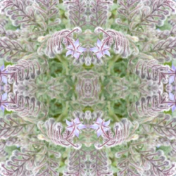 Unnatural 161
