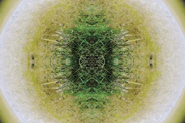 Unnatural 6.1
