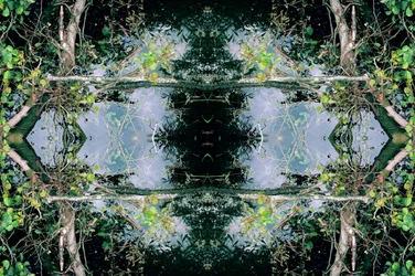 Unnatural 73