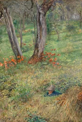 A Woodland Hideout