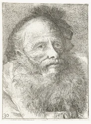 Man with Beard and Feathered Headgear