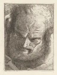 Old Man Looking Downwards, from the Collection of Heads