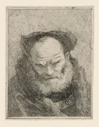 Old Man with a Beard, from the Raccolta di Teste (Collection of Heads)