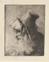 Profile of an Elderly Man with a Beard, from the Collection of Heads