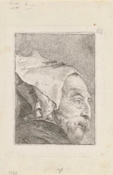 Profile of an Old Man (from the Collection of Heads)