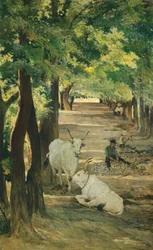 Avenue with Oxen and Stonebreaker