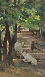 Avenue with oxen and stone breakers, c.1875