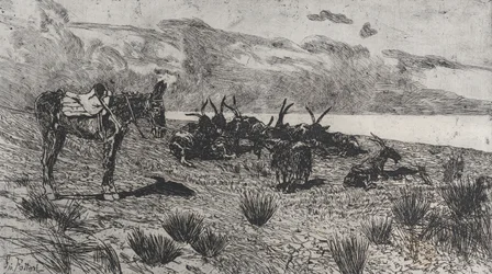 Donkey and Goats on a Seashore in Winter