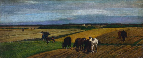 Pasture