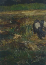 Tuscan Maremma (detail)