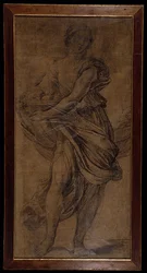 Pomona