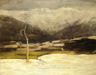 Savognino Landscape