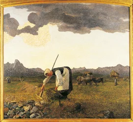 The Hay Harvest
