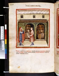 Theatrum sanitatis by Ububchasym de Baldach: 